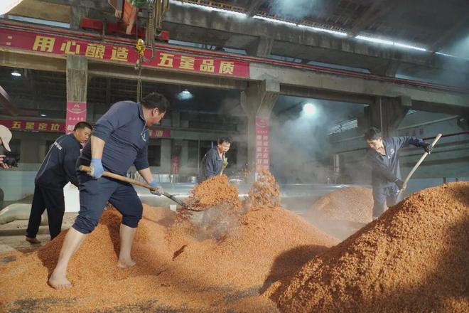 五星酒业承古训铸酱香伟业开元棋牌试玩乙巳重阳祭水(图8) 五星酒业承古训铸酱香伟业开元棋牌试玩乙巳重阳祭水(图8)